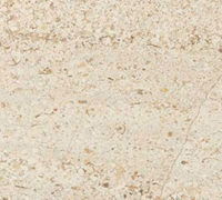 Mocca Creme Limestone