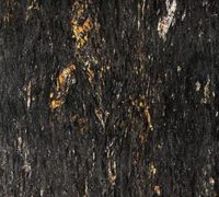 Storm Granite