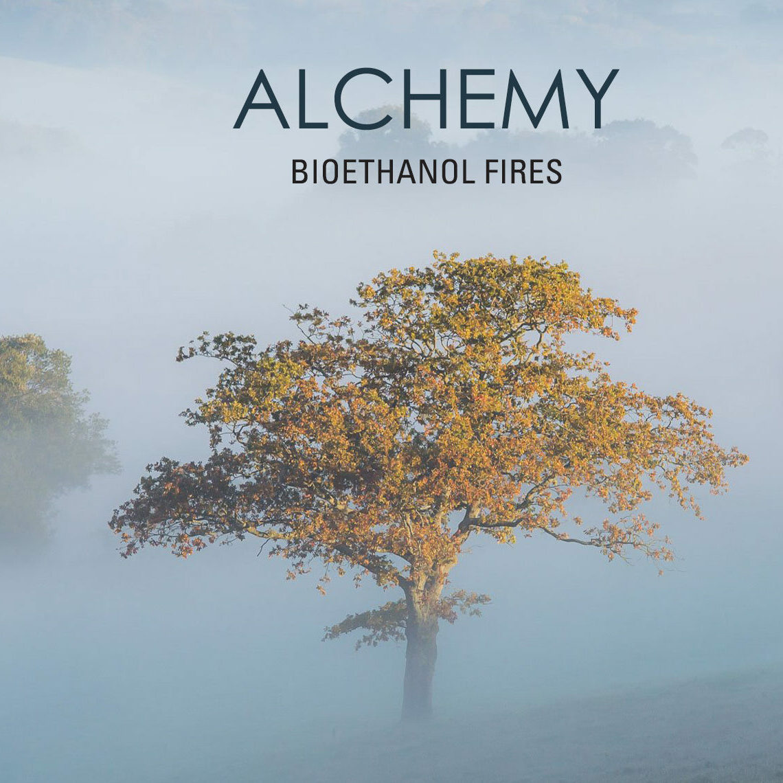 Bioethanol fire range