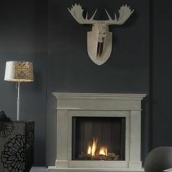 Clear with Widum 770 surround-0